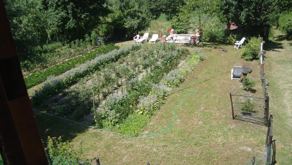 Agriturismo Il Casalone Badia Tedalda 外观 照片